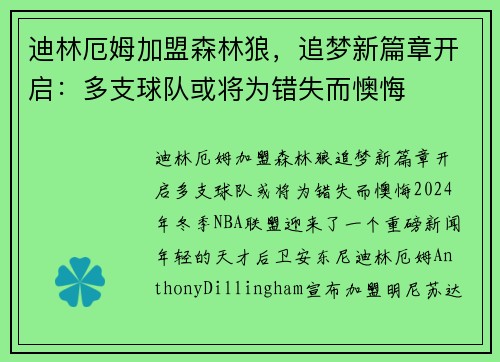 迪林厄姆加盟森林狼，追梦新篇章开启：多支球队或将为错失而懊悔